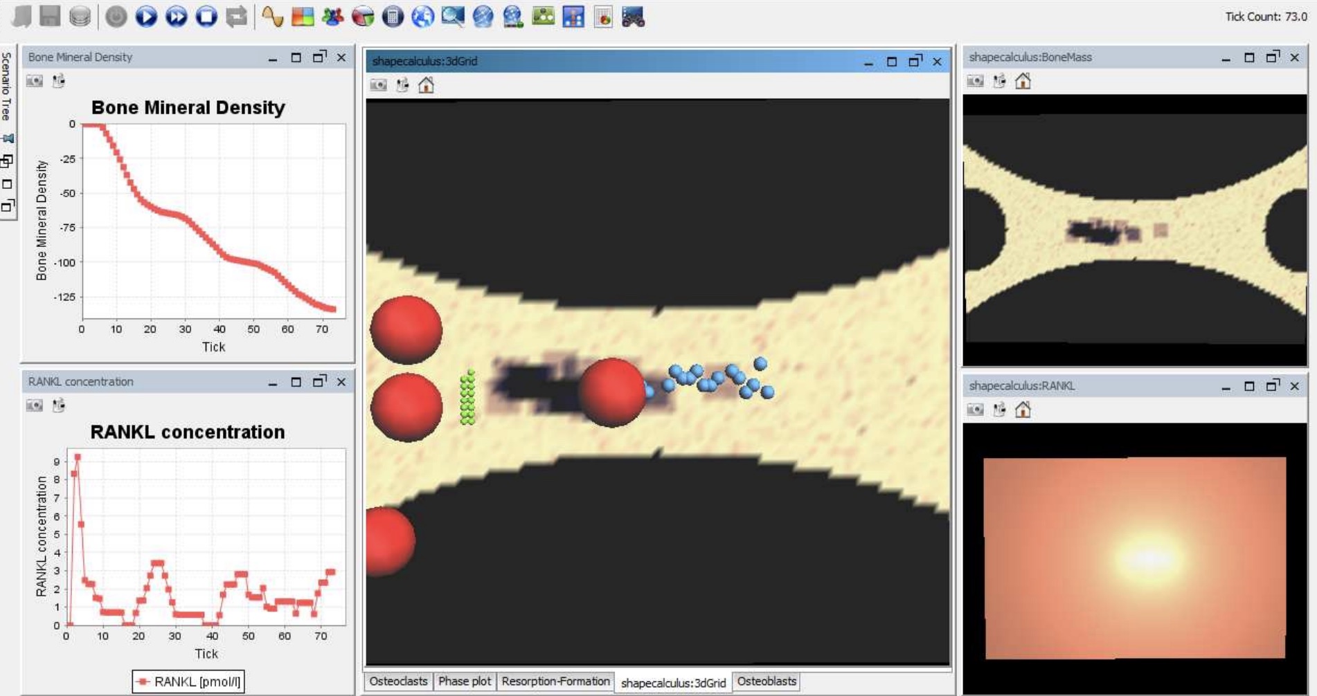 Stochastic agent-based simulator for bone remodelling