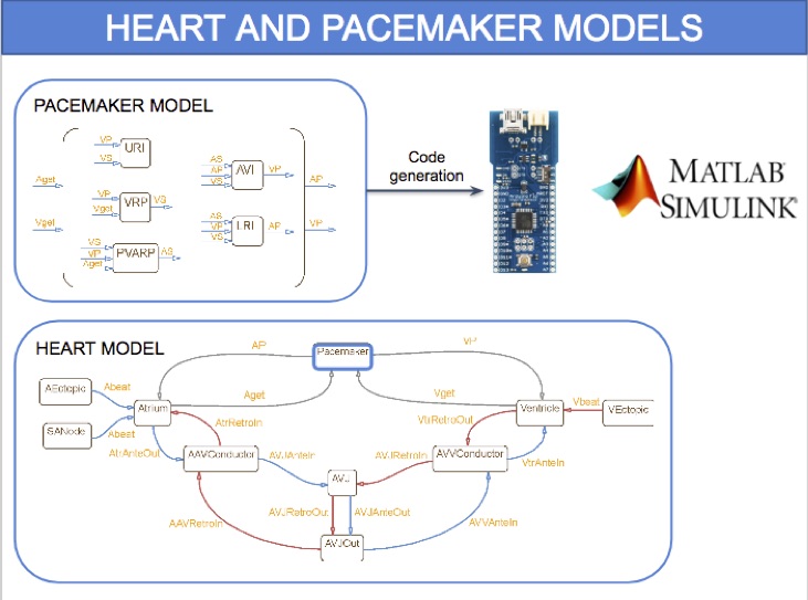 Hardware-In-the-Loop Simulation and Energy Optimization of Cardiac Pacemakers